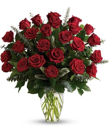 Premium (3 dozen) size, 25 inches height and 24 inches wide.