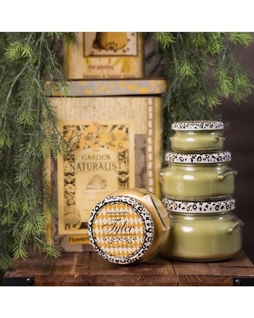 22 oz 2-Wick size, inches height and inches wide.