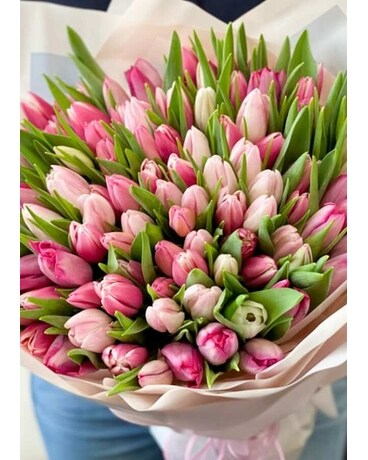 Tulip Wrap size, inches height and inches wide.