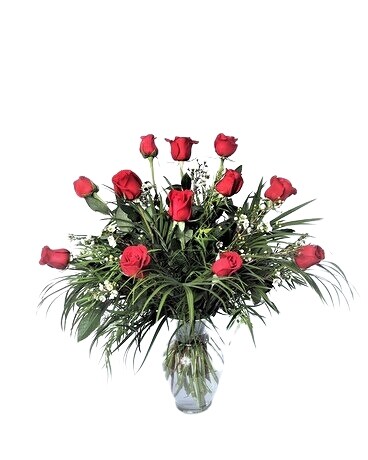 Half Dozen- size, inches height and inches wide.