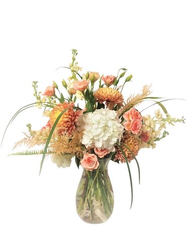 Premium-AS SHOWN size, inches height and inches wide.