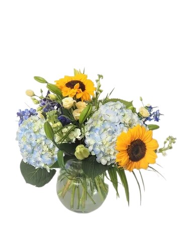 Select- size, inches height and inches wide.