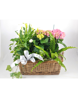 4 items plant basket-AS SHOWN IN PHOTO size, inches height and inches wide.