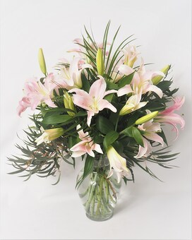 10 Oriental Lilies-PINK size, inches height and inches wide.
