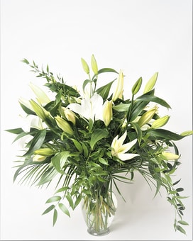 6 Oriental Lilies-Assorted size, inches height and inches wide.