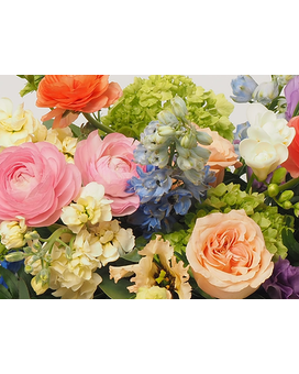 SPRING Mix-Assorted colors size, inches height and inches wide.