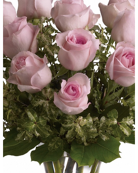 Light Pink - 18 size, inches height and inches wide.