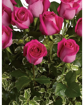 Dark Pink - 18 size, inches height and inches wide.
