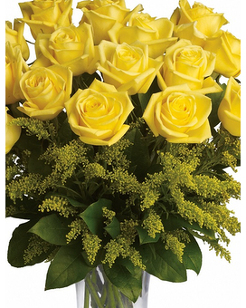 Yellow - 24 size, inches height and inches wide.
