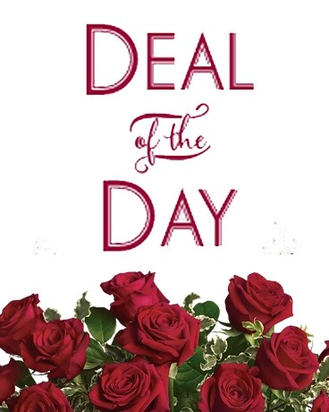 DEAL OF THE DAY Flower Arrangement