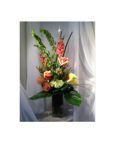 Premium size, inches height and inches wide.