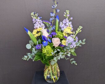 Standard size, 22.5 inches height and 15 inches wide.