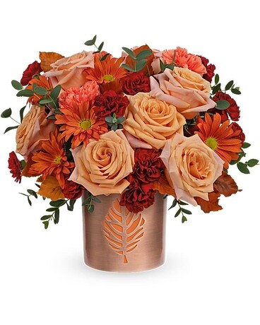 Premium size, 12 and a half inches height and 13 3/4 inches wide.