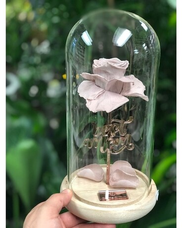 PINK size, inches height and inches wide.