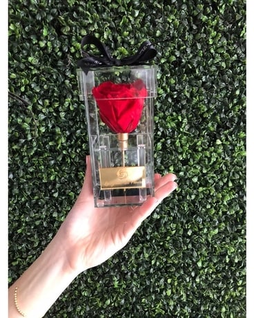 red rose size, inches height and inches wide.