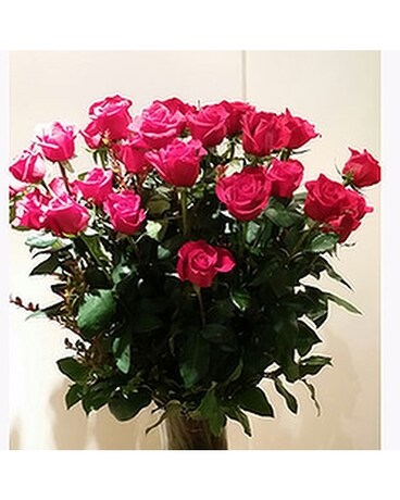 3 Dozen 34 size, inches height and inches wide.