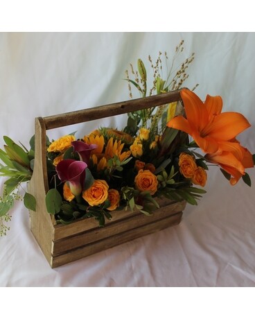 Deluxe size, inches height and inches wide.