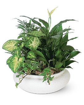 Add Fresh Flowers size, inches height and inches wide.