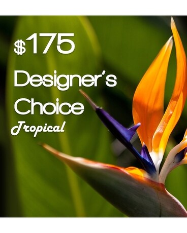 Stunning size, inches height and inches wide.