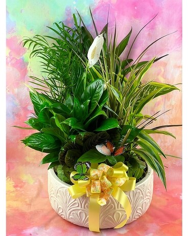 14" Ceramic Garden size, inches height and inches wide.