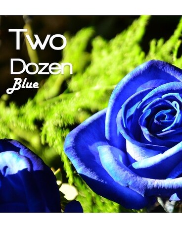 2 Dozen size, inches height and inches wide.