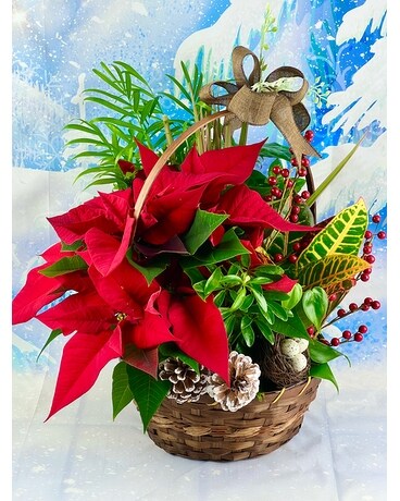 Basket size, inches height and inches wide.
