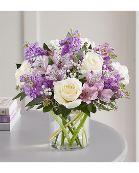 Deluxe size, inches height and inches wide.