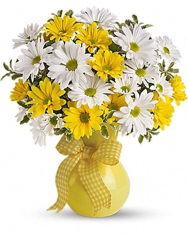 Teleflora's Upsy Daisy Flower Arrangement