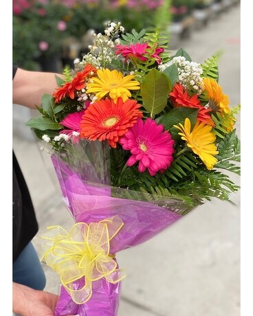 9 Gerbera Bouquet size, inches height and inches wide.