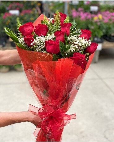 12 Roses as Shown size, inches height and inches wide.