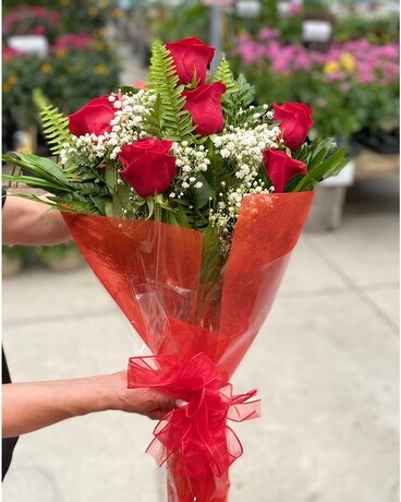 6 Red Roses size, inches height and inches wide.