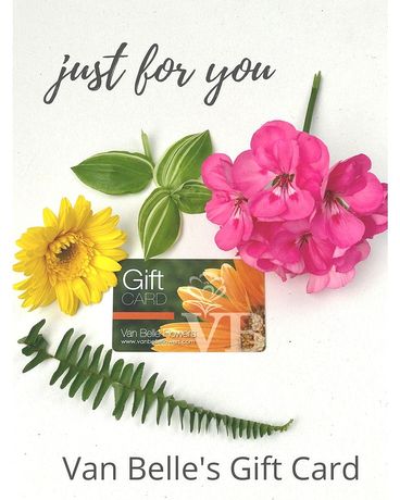 VB Gift Card size, inches height and inches wide.