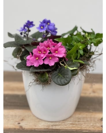 White Pot size, inches height and inches wide.