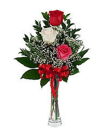 3 Colors size, inches height and inches wide.