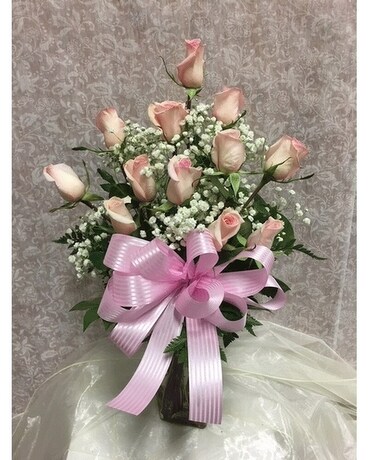 Premium 3 Dozen size, inches height and inches wide.
