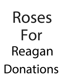 Donation size, inches height and inches wide.