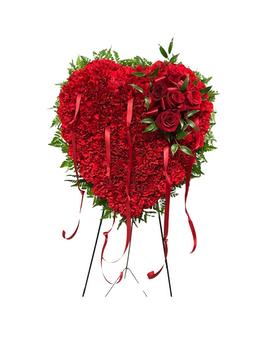 Carnations size, inches height and inches wide.