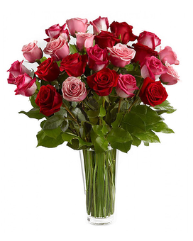 24 Roses size, inches height and inches wide.