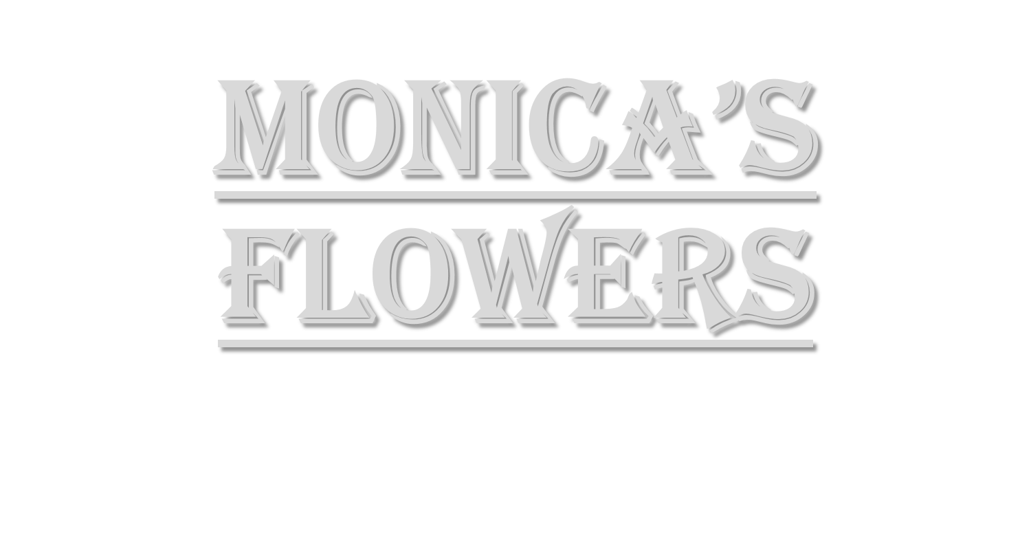 Seasonal Flower Programs Dallas Ft Worth Produces Neat Flowers With Faces In Shades Of Yellow Blue Violet And White Fall Often Winter Self Seeds Readily
