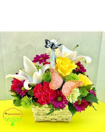 Get Well Flowers Delivery Betterton MD Get Well Flowers Delivery Betterton MD