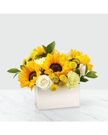 Deluxe size, inches height and inches wide.