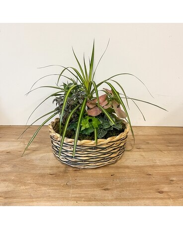 Luxurious size, inches height and inches wide.