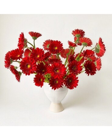 All Red size, inches height and inches wide.