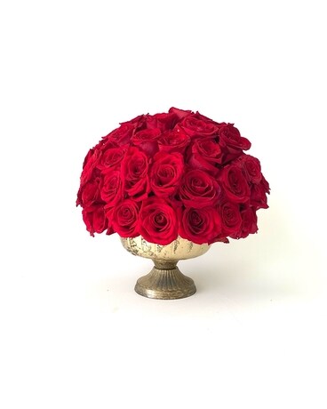 Red Roses size, inches height and inches wide.