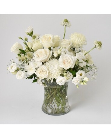 Deluxe size, inches height and inches wide.