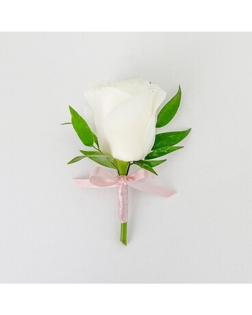 Blush size, inches height and inches wide.