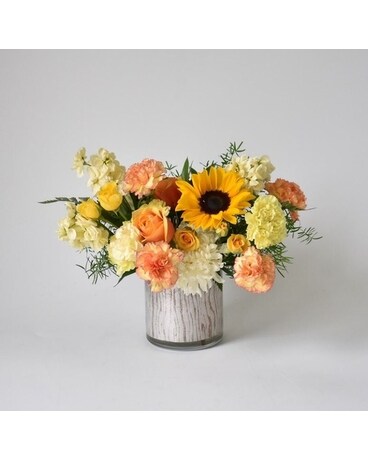 Sweet and Petite size, inches height and inches wide.