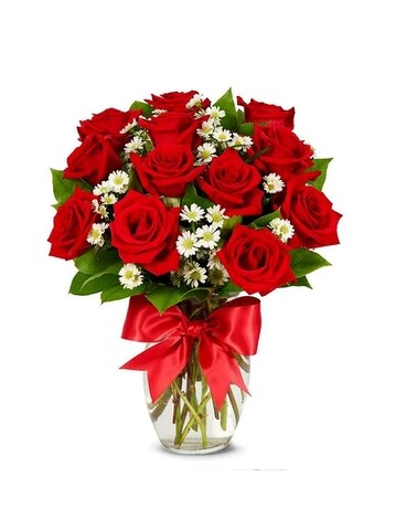 12 Red Roses size, inches height and inches wide.