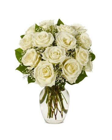 12 White Roses size, inches height and inches wide.