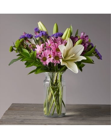 Deluxe size, inches height and inches wide.